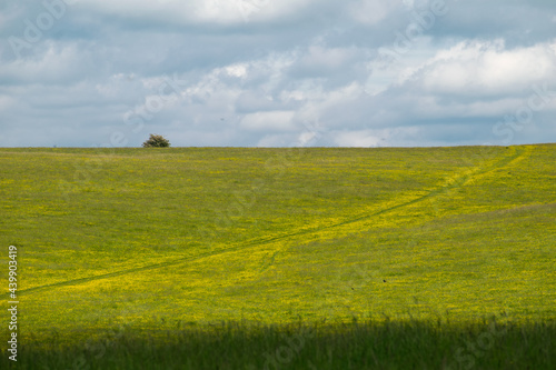 Photo of a sunny grassy hill with a tree at the top at a prairie in England