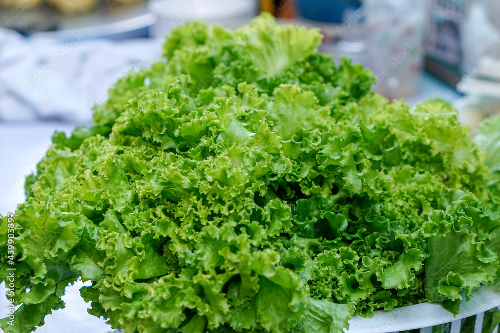 Bright green lettuce. suitable as background Bright green lettuce. suitable as background