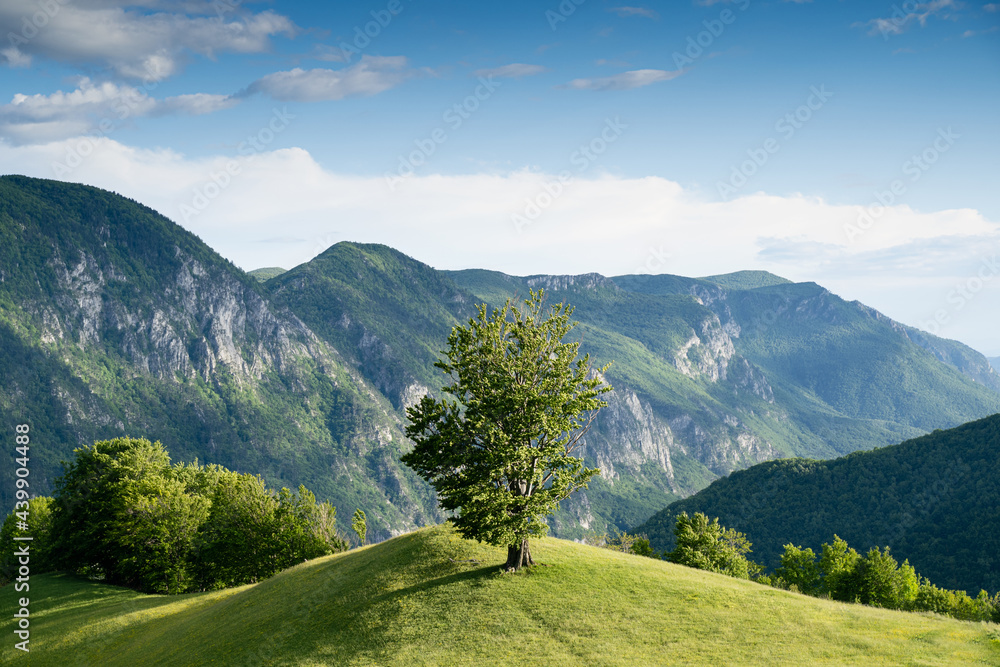 majestic beautiful mountain landscape scenery in Valea Cernei Romania
