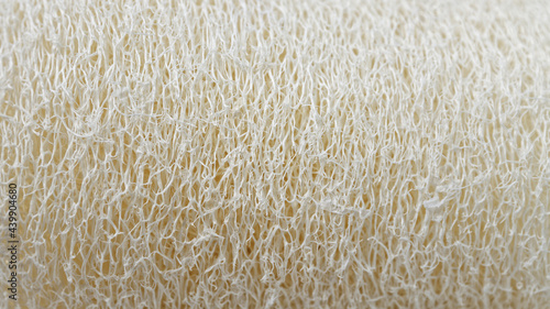 Luffah sponge texture background. Natural luff sponge macro view.