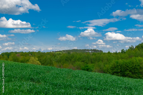 field and blue sky