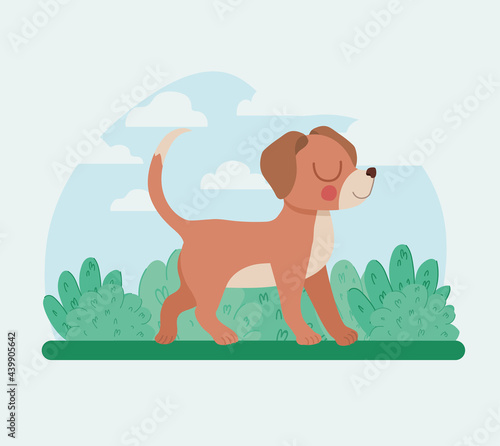 puppy and bushes