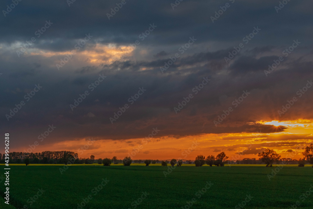 sunset in the field sunset in the field