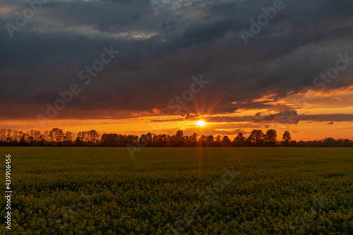 sunset in the field of Cedry Wielkie