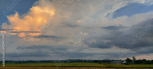 Scenic view of rice paddy field under a cloudy sky in Nueva Ecija, Philippines during sunset photo