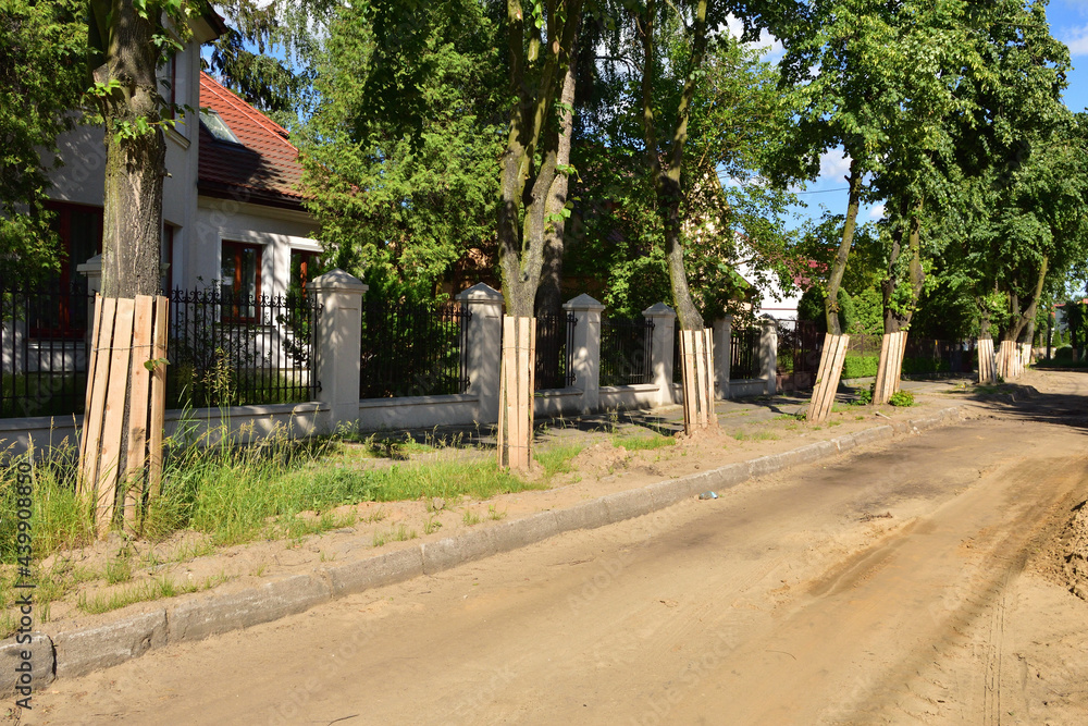 Protection of trees during road renovation in the city. Environment. Trees. Protection of trees during road renovation in the city. Environment. Trees.