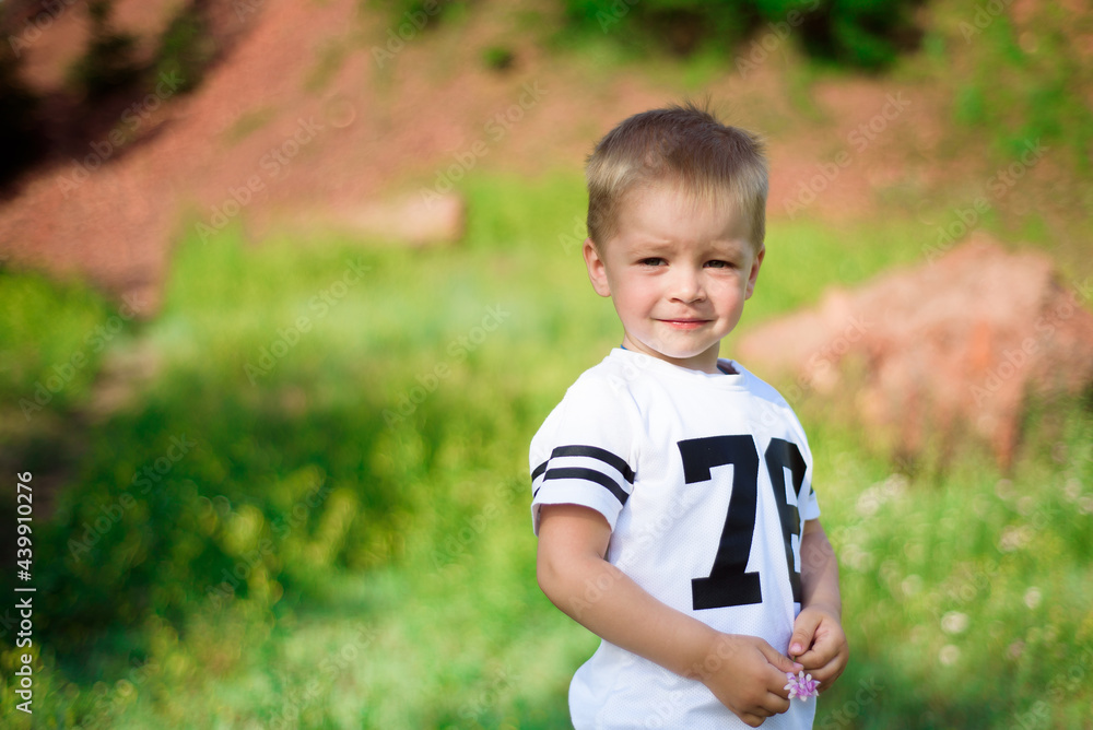 Little boy of two years old posing and looking at the camera on nature in summer. Little boy of two years old posing and looking at the camera on nature in summer.