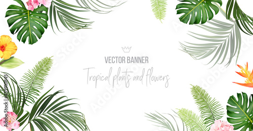 Tropical banner arranged from exotic emerald leaves and exotic flowers