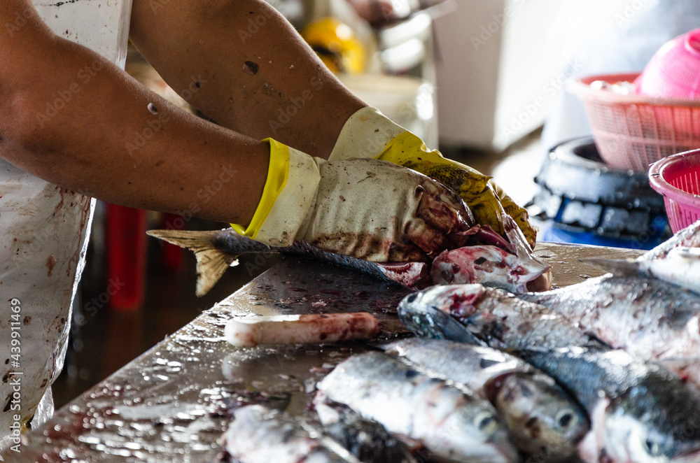 Man's hand with gloves prepares fish for sale in the market.