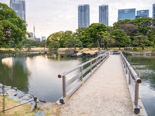 Daytime view of the Hama Rikyu in Tokyo, Japan photo