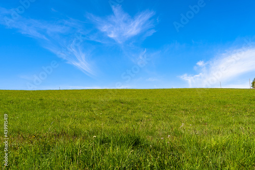 Hill with green grass and nice blue sky 