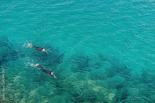 Couple swimming in the open sea with wetsuit