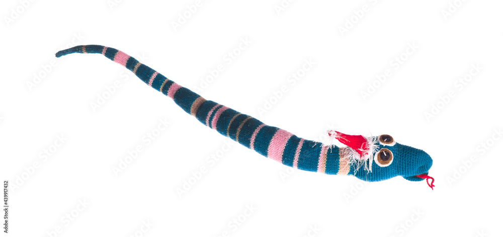 Obraz premium toy wool snake isolated on white background