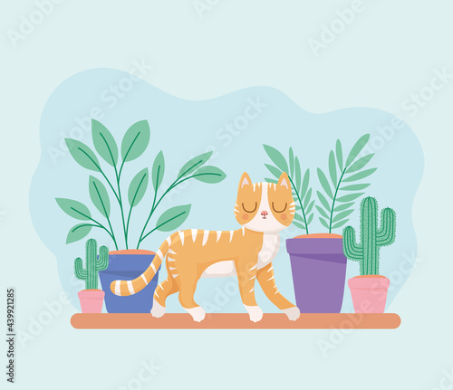 kitten and plants