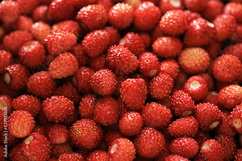 background of the fresh strawberry
