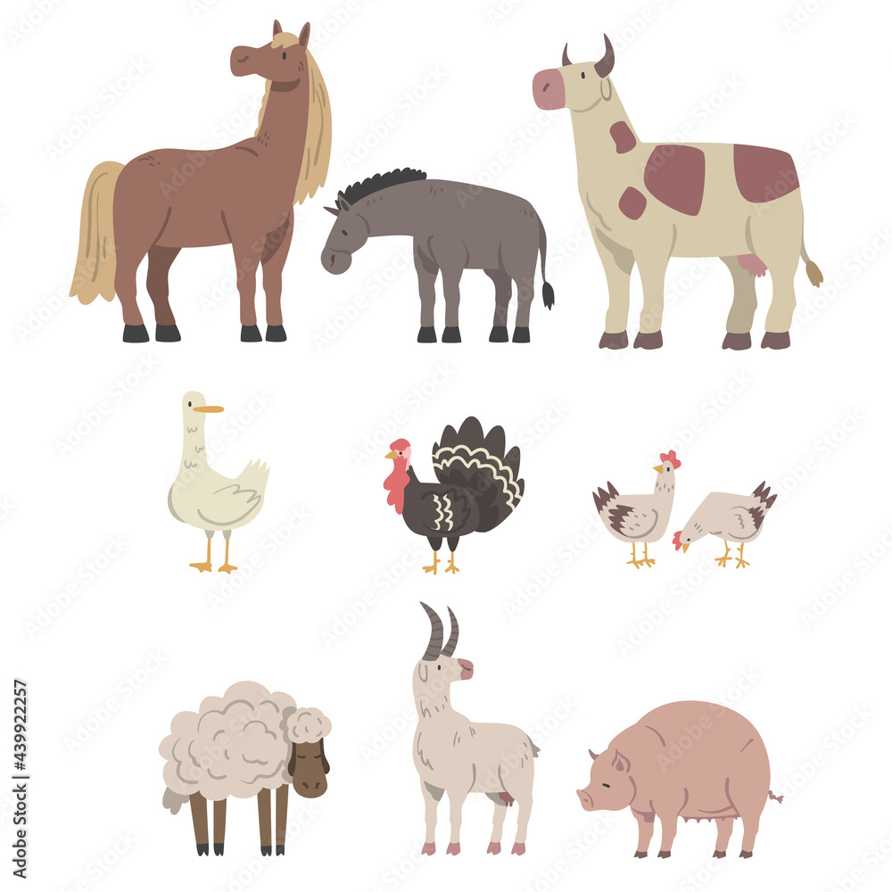 Farm Animals Set, Horse, Donkey, Cow, Goose, Turkey, Pig, Sheep Livestock Cartoon Vector Illustration