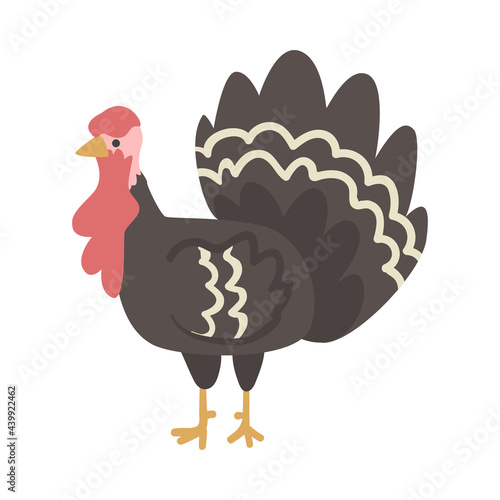 Turkey Farm Bird, Poultry Breeding Concept Cartoon Vector Illustration