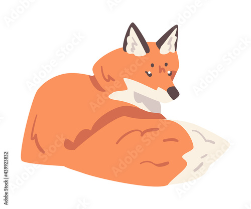 Cute Lying Fox, Wild Predator Forest Mammal Animal Cartoon Vector Illustration