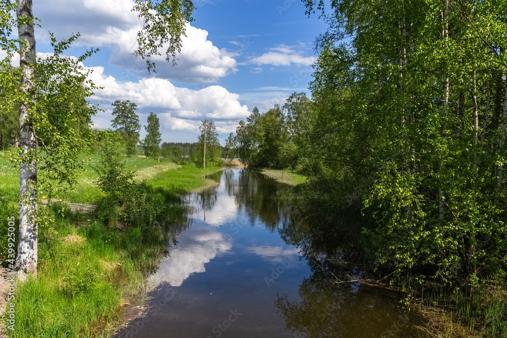 Fototapeta premium Summer landscape. Lake in the forest. Nature Conservation Concept. Summer background. High quality photo