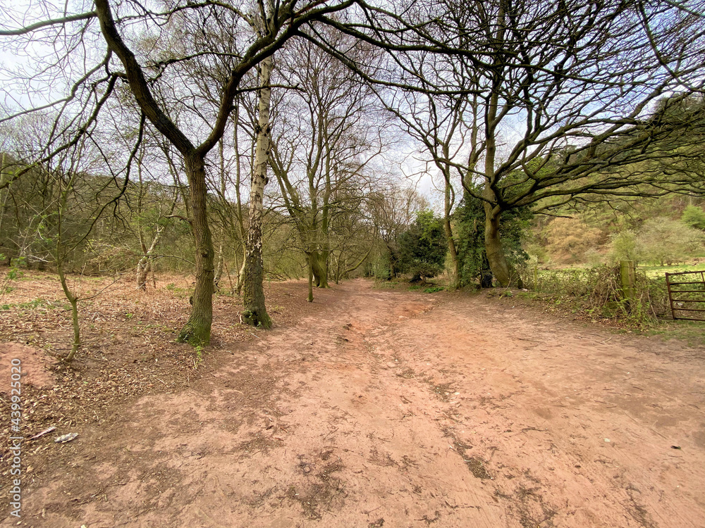 A view of the Peckforton Hills in Cheshire A view of the Peckforton Hills in Cheshire