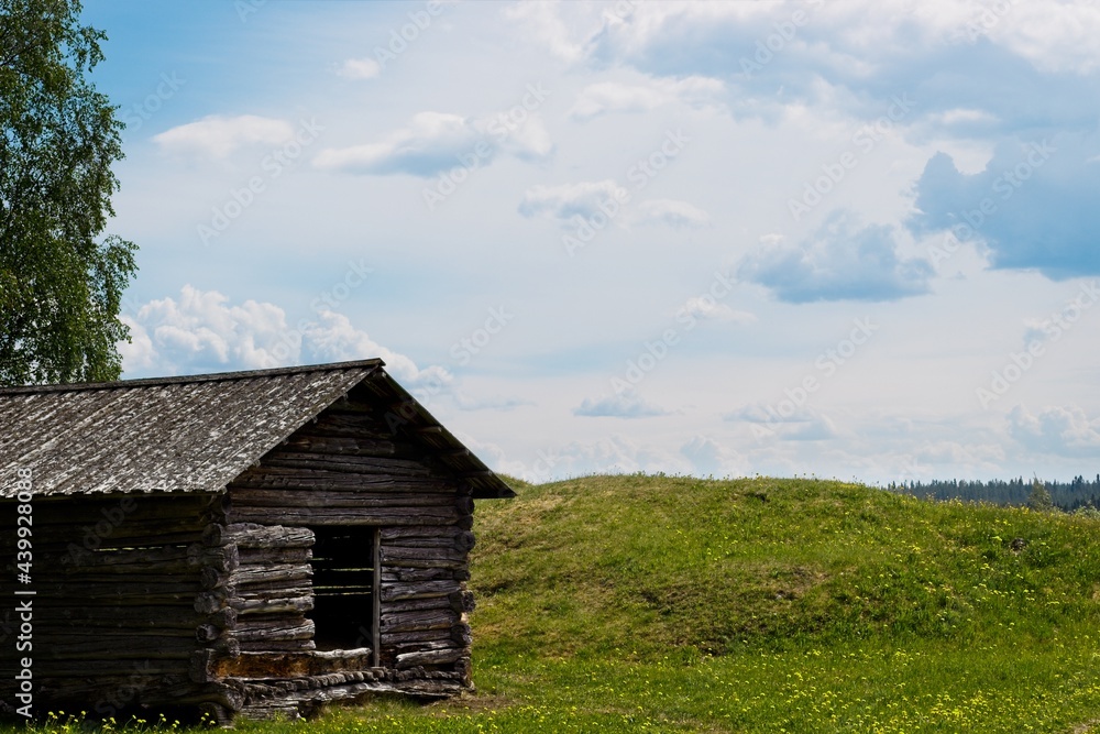 Obraz premium An old wooden Scandinavian shed in a meadow full of yellow dandelions on Rödön in Sweden