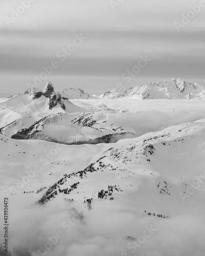 Whistler Mountain, British Columbia with Black Tusk and Tantalus Range