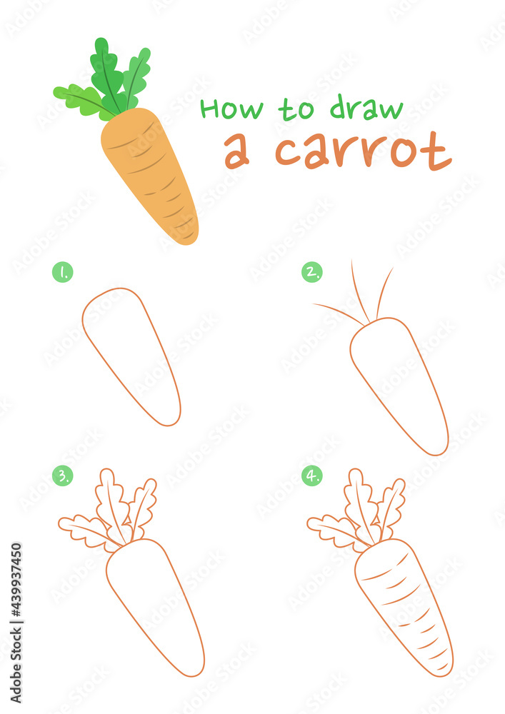 carrot sketch, hand drawn carrot drawing, sliced carrots, sloppy vegetables  sketch in vector, vector illustration, simple vector sketch for your design  on white background Stock Vector | Adobe Stock