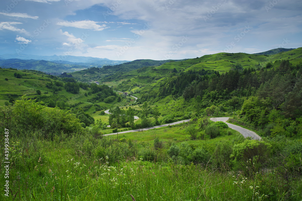 Summer panoramic landscape of Maramures county, Romania, Europe