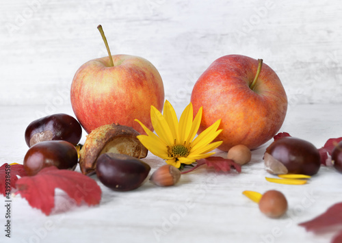 red apples, brown, yellow flowers with leaves in autumnal still life on white...