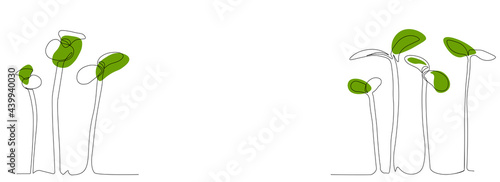 Radish sprout vector stock illustration. sprouted red radish. Micro-village art is a continuous single line. of young plants. Horizontal abstract banner. Label for farming. Eco.