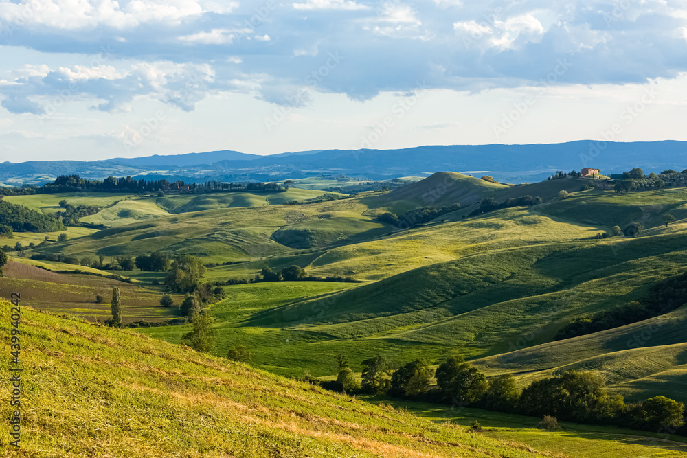 Fototapeta premium Beautiful landscape in Tuscany countryside, Italy.