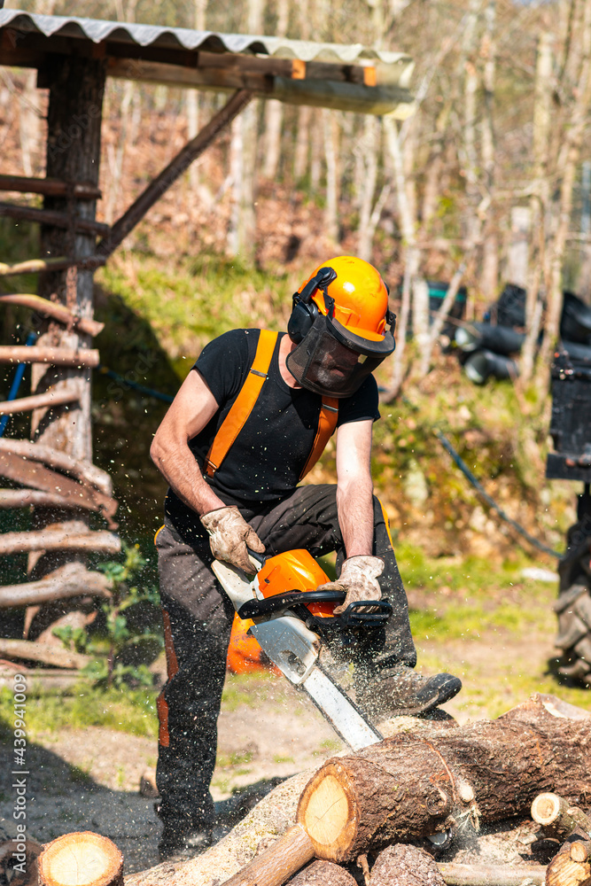 Worker cutting wood with chainsaw at sawmill Worker cutting wood with chainsaw at sawmill