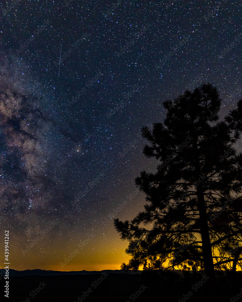 Naklejka premium Via lactea en las montañas de Arizona abajo de las estrellas con arboles de pinos con vista de estrella fugaz y Júpiter durante atardecer