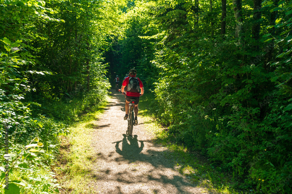 Naklejka premium Radfahrer im Wald