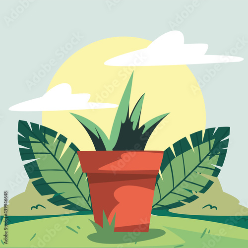 backyard with orange houseplant