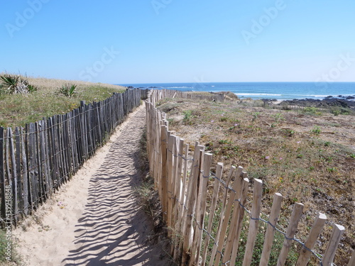 A small path on the Atlantic coast. Batz-sur-mer, France, 15th june 2021. © Yann Vernerie