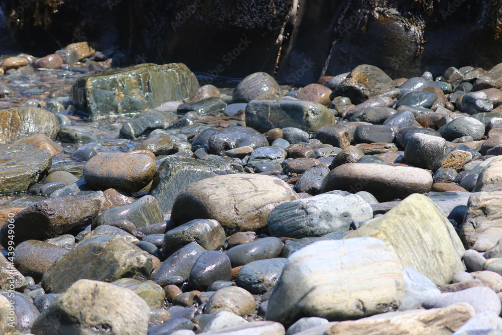 Pebbles Stones Rocks on the Beach