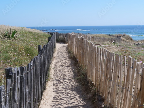 A small path on the Atlantic coast. Batz-sur-mer  France  15th june 2021.