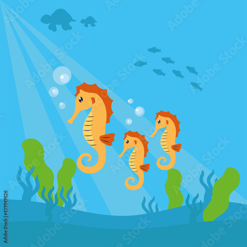 cute seahorses characters