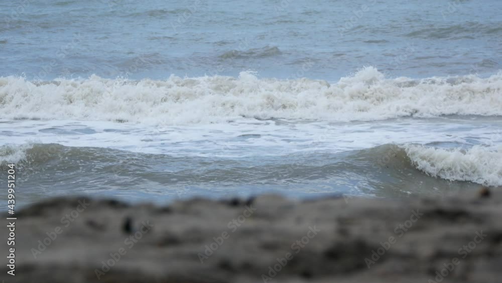 Waves of the Sea Coming to the Shore with Lots of Foam and ahead Dirty Sand out of Focus with Pieces of Branches, Stones, Dry Leaves and in Palomino's Beach, La Guajira, Colombia Waves of the Sea Coming to the Shore with Lots of Foam and ahead Dirty Sand out of Focus with Pieces of Branches, Stones, Dry Leaves and in Palomino's Beach, La Guajira, Colombia
