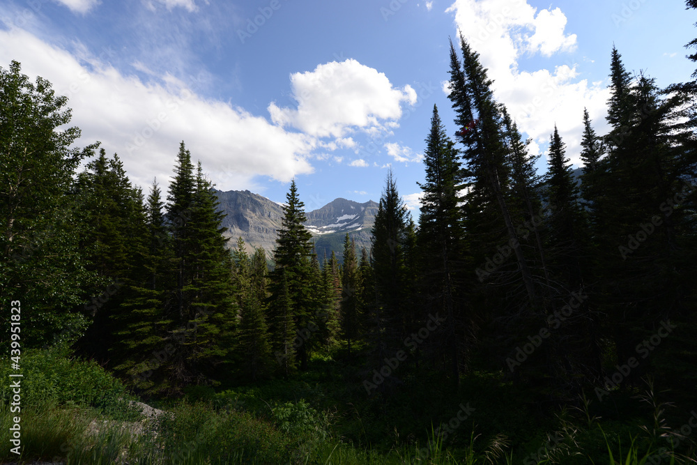 Scenic view of mountains and trees at Glacier National Park in Montana on a sunny day