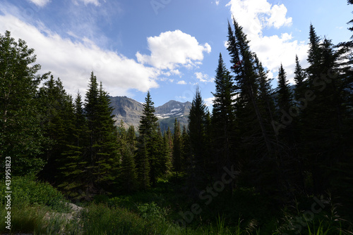 Scenic view of mountains and trees at Glacier National Park in Montana on a sunny day