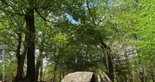 Merlin's Tomb in the forest of Brocéliande, Brittany in France photo