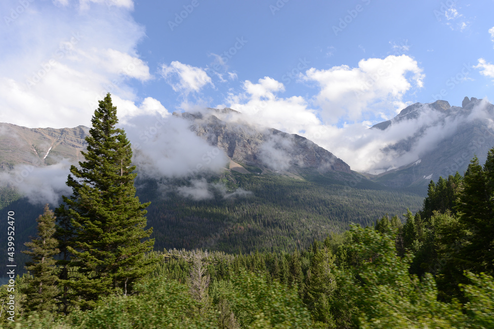 Scenic view of mountains and trees at Glacier National Park