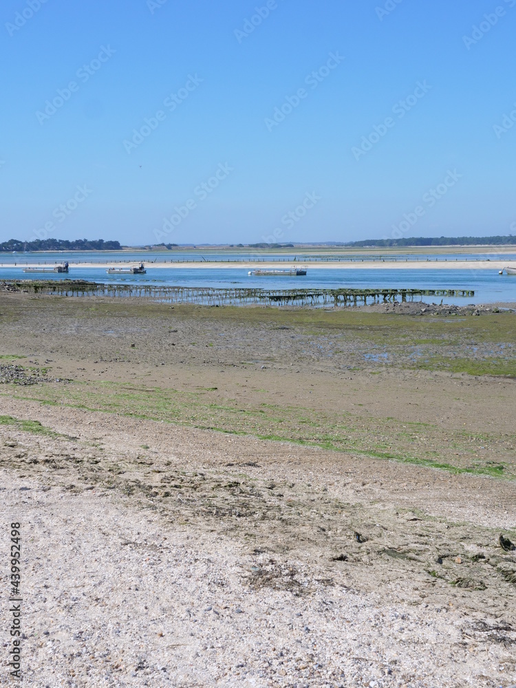 The landscape at le Croisic at low tide. June, 2021, France.
