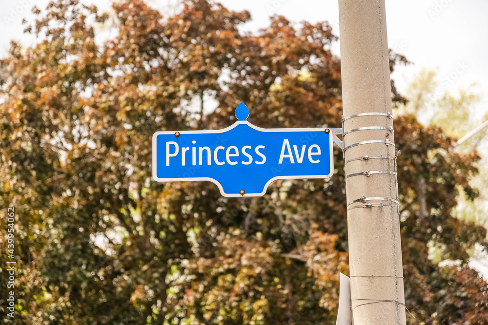 The Princess Avenue sign. The sign was shot with bokeh in North York, Toronto on May 20th 2021. Theirs atree in the back.