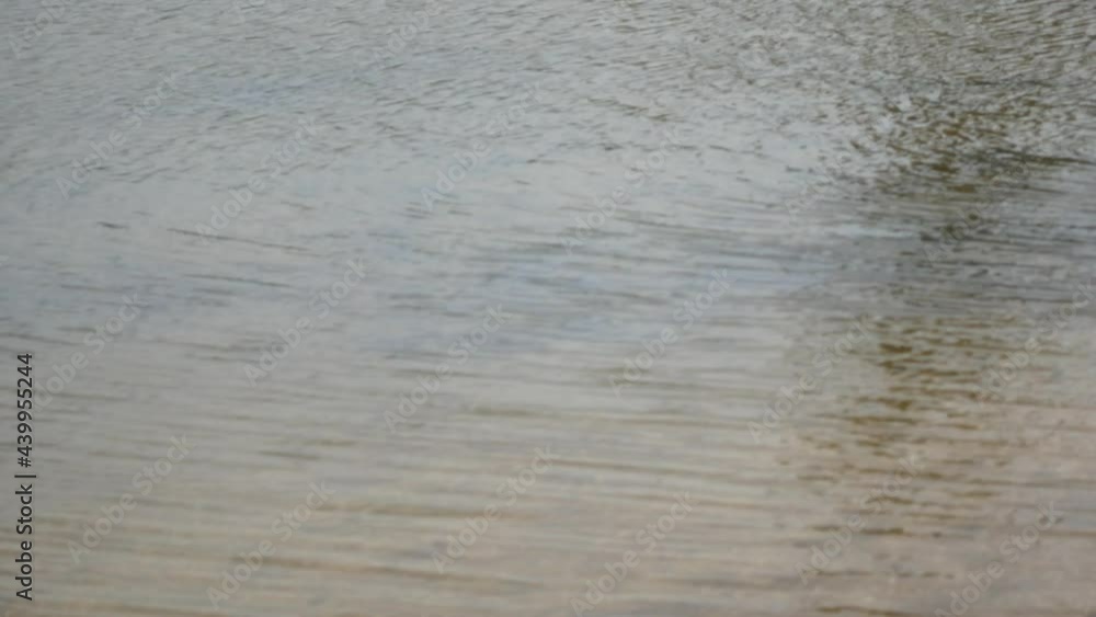 The Waters of the San Salvador River Connect with the Sea Water in Palomino, La Guajira, Colombia The Waters of the San Salvador River Connect with the Sea Water in Palomino, La Guajira, Colombia