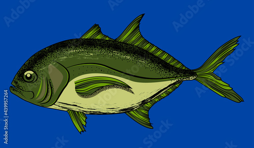 fish in the water