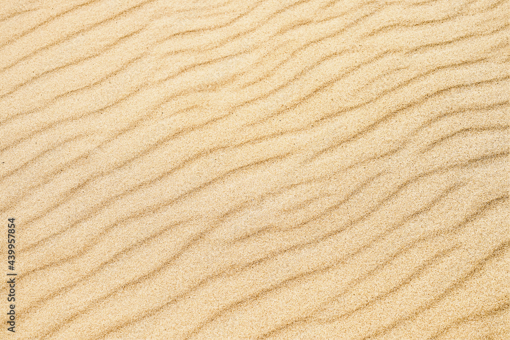 Beach sand background. Nature texture, top view, copy space Beach sand background. Nature texture, top view, copy space