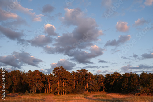 summer sunset on the shore of the Gulf of Finland in the town of Sosnovy Bor photo